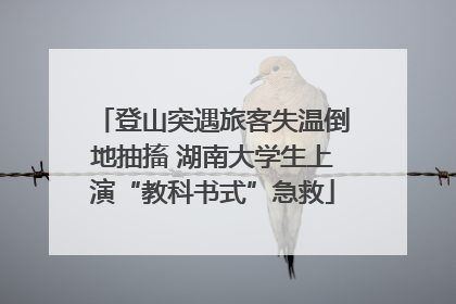 登山突遇旅客失温倒地抽搐 湖南大学生上演“教科书式”急救